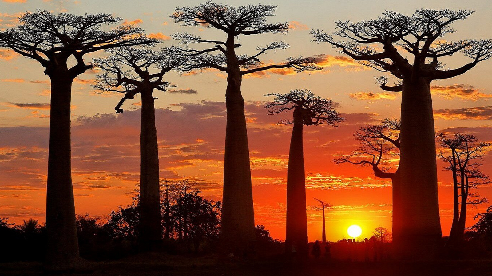 Image is not available